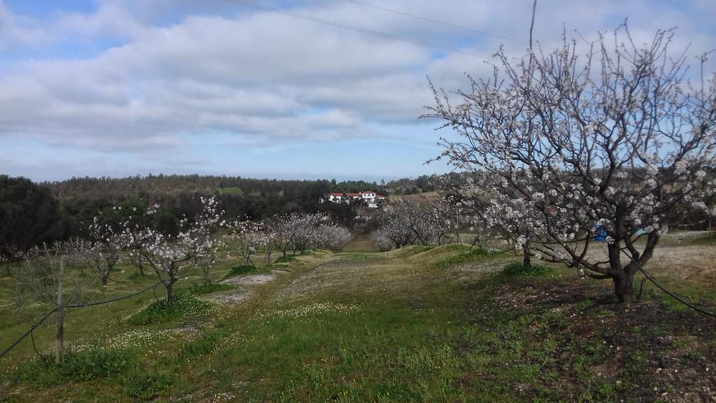 Arneiro da Volta Casa De Besteiros מראה חיצוני תמונה